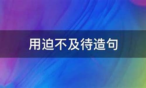 迫不及待造句三年级_迫不及待造句