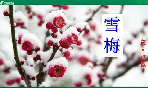 雪梅的意思_四年级上册雪梅的意思