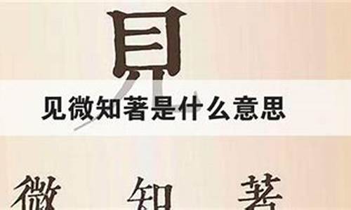 见微知著什么意思呀?_见微知著什么意思